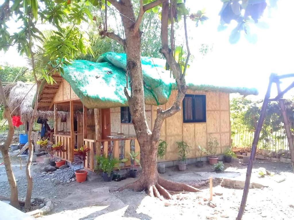 Traditional Filipino Transient House And Huts Near 100 Islands Wharf Аламинос Екстериор снимка